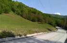 Teren Valea Aleului(pensiune, casa vacanta) 5500 mp - 10
