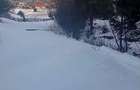 Teren langa padure 8179 mp , cu izvoare de munte - 3