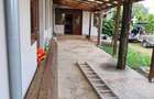 Casa 350 mp + 45 ari teren dublu front Ratesti - 14