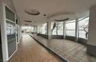 Spatiu Comercial pe Faleza Ivan Patzaichin - 2