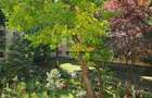 Aleea Resita - apartament 2 camere - 1