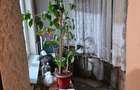 Apartamant de vanzare zona apusului sector 6 - 2