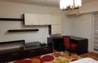 Apartament 1 camera Centru Carrefour Market Arcu - 10