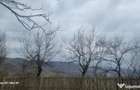 TEREN INTRAVILAN VEDERE PANORAMICA La 2 km de Manastirea CRA - 9