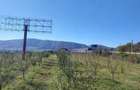 Vand(schimb) 123 ari intravilan,zona industriala