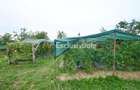 Casă cu teren generos – Vedea-Arges - 32