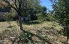 Casa individuala de vanzare in Rasnov teren 682 mp, garaj, foisor. - 6