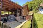 Casa din lemn, zona muntoasa, cu rau, la cheie, Ribita, Hunedoara - 5