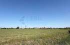 Teren intravilan 2.6 hectare la E671 / DN79 | Front 484 ml - 1