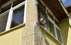 Casa solida Bagara Aghiresu, la 30 min de Cluj-Napoca - 5