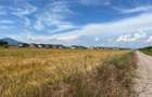 Proprietar - Teren Intravilan 1000/2000 mp Cristian, Oportunitate! - 5
