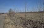 Teren agricol de vanzare 3,68 ha, deschidere 350 m la ?osea, Scutelnici, Buzau Pre?: 1 mp - 2