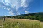 Teren cu poten?ial turistic, cadru natural rar, 20.000 mp Sacuieu - 1