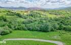 Teren 500mp Tohanita (intre castelul Bran si Zarnesti), langa padure - 5