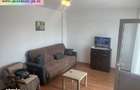 Apartament 2 camere de inchiriat : 9 Mai-(Frasinet) - 2