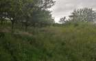 Vand Teren intravilan Chinteni - Padureni 2000 mp - 6