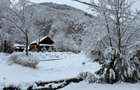 Casa de vacanta in inima naturii Valea Bratcutei, jud. Bihor - 15
