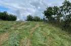 Vand casa vacanta in Ianosda,Bihor,renovata,cu baie,apa curenta,canalizare,gaze la poarta,la asfalt - 3