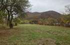 Teren intravilan 2500mp Criscior