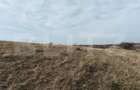 Teren extravilan 6 ha, Stejeris, com Moldovenesti - Moldovenesti (Cluj)