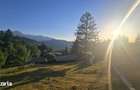 Vile premium , chalet ?i Tree House-uri intr-un Resort Wellness montan - 2