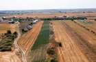 Vanzare teren intravilan  2,945mp Sabareni / Strada sondei - 2