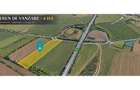 Teren 4 ha DJ 691 Giarmata | Langa A1 - 1