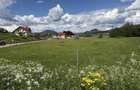 Vand Teren Intravilan Poiana Negrii jud Suceava (Bucovina) - 6