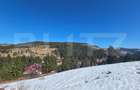 Teren 2 ha, cu padure proprie si panorama spre munti, Arieseni - 4