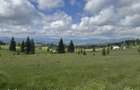 TEREN EXCEP?IONAL 2 Ha PE VIA TRANSILVANICA IN BUCOVINA - 10