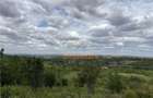 Teren Intravilan | 1.824 Mp | Dealuri | Oradea - 4
