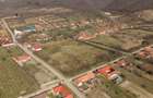 Conac nobiliar de secol XIX cu 8 camere în Maciova - 9