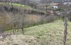 vand 2300m2 teren intravilant comuna secaria - 4
