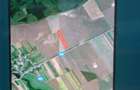 Vand teren, ideal investitie - 1