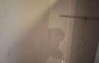 2 ap fa?a in fa?a / inchiriere impreuna 1350 sau separat 625/725 - 4