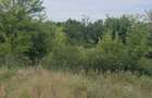Vand teren la Dunare - 4