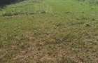 Vand 1780mp teren la 200 m de Telegondola ?i partia Olimpica Bor?a - 6