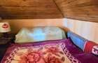 casa 3 camere Viile Satu Mare - 14