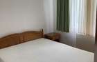 Apartament 3 camere de inchiriat Vlaicu zona Lebada - 2