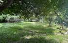 Teren intravilan, 232 mp, cartier Rovine - 3