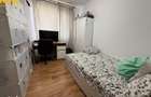 Apartament 3 Camere Decomandat Alexandru-Parc - 9