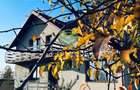 Vila cu teren si garaj in Ciolpani - 14