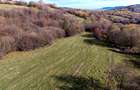 Comision0% Teren intravilan  2500mp Zarnesti Tohanita-investitie - turism