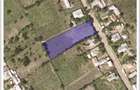 Teren intravilan in loc. Buznea - 1