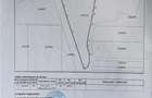 22.500mp oportunitate investitie, teren cu vizibilitate la D - Codlea (Brasov)