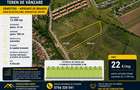 Teren extravilan 12.500 mp – Sânpetru, Brașov | Potențial dezvoltare rezidențial - 1