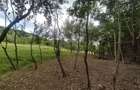 Teren de 3600 mp, în Central - 4