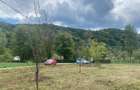 Apuseni - de vanzare teren pentru casa - 7