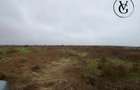 Teren 1000 mp Palazu Mare | Ideal investi?ie - Constanta (Constanta)