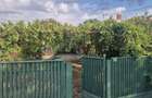 Casa 3 camere cu 1015m2 teren - 1